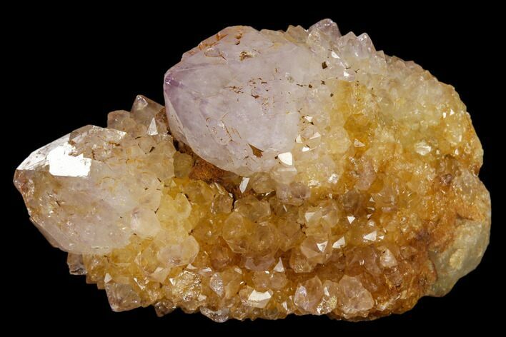Sunshine Cactus Quartz Crystal - South Africa #115148